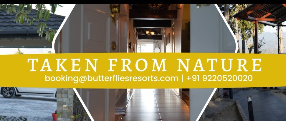 Bees & Butterflies · Vanshivat Mukteshwar brand visual